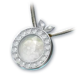 Official Unyielding Necklace item icon