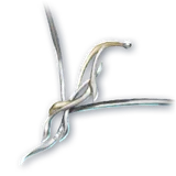 Official Fios Necklace item icon