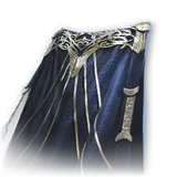 Official Defender Cloak item icon
