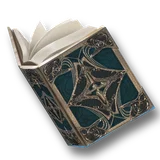 Official Chaser Spellbook item icon