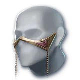 Official Anguish Helm item icon