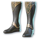 Official Strange Karma Boots item icon