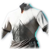 Official Teegant Breastplate item icon