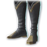 Official Danar Boots item icon