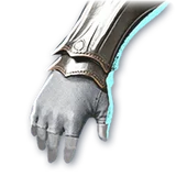 Official Order Gloves item icon