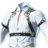 Official Guardian Decanus Breastplate item icon
