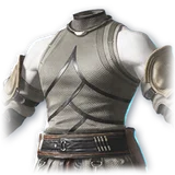 Official Wild Wanderer (Skin: Breastplate) item icon