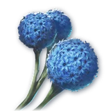 Official Calendula (Bound) item icon
