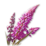 Official Aria (Bound) item icon