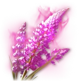 Official Fresh Aria (Bound) item icon