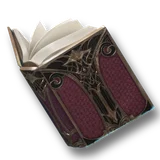 Official Vagabond Spellbook item icon