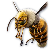 Official Pet: Aberrant Bee item icon