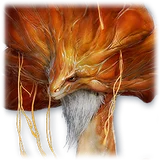 Official Pet: Eternal Coradon item icon
