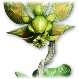 Official Soul: Forest Dionae (Bound) item icon