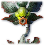 Official Pet: Ashen Dionae item icon