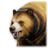 Official Pet: Durgal item icon