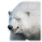 Official Pet: Icecap Durgal item icon