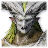 Official Pet: Spirit King's Bodyguard Warrior item icon