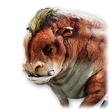 Official Pet: Young Tog item icon