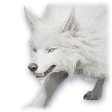 Official Soul: Young Snowfield Zaif (Bound) item icon